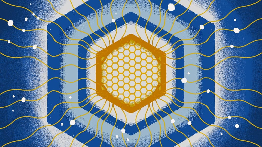 Graphic of honeycomb